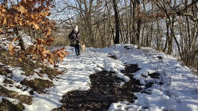 Back nel bosco altro esercizio