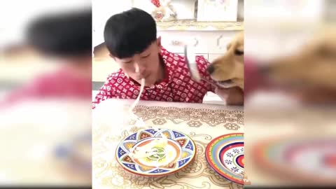 CATS AND DOGS FOOD REACTIONS