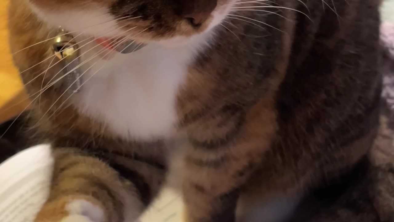 Studying Is Not Allowed