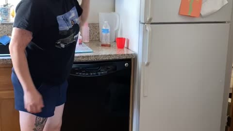 Feisty Kitty Defends Paper Plates