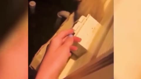 Funny cat🐱 but love is cat