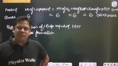 Photosynthesis in plant class 11 plant physiology