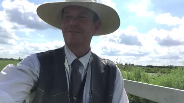 The Snake and the Mouse: How to Beat the Liberal World Order