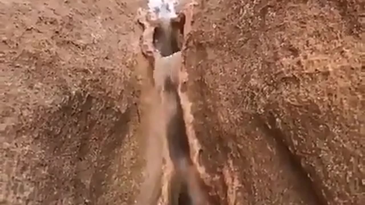 Wold must beutiful pleace