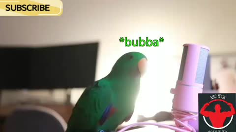 Bird Whispers Into Microphone for 6 Minutes Straight to cure your sadness with subtitles