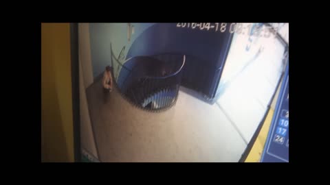 Leave a Suprize in front of camera MEGA FAST