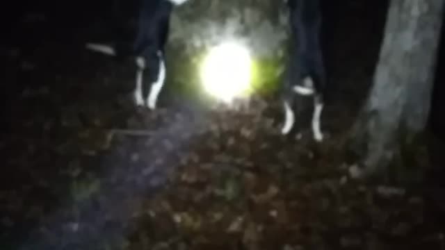 Coonhunting Con-Man kennel's
