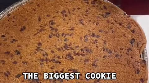 THE BIGGEST COOKIE SANDWICH EVER