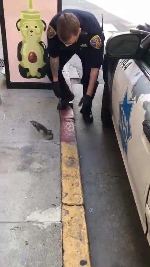 Frog & cop