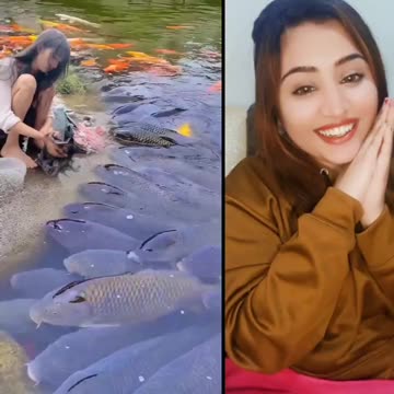 Live girls White Fish Frank