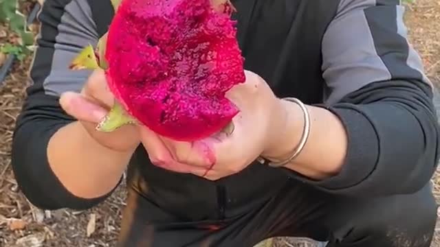 Farm Fresh Ninja Fruit Cutting Desi Satisfying Fruit Ninja Fruit Ideas | Amazing Fruits Video