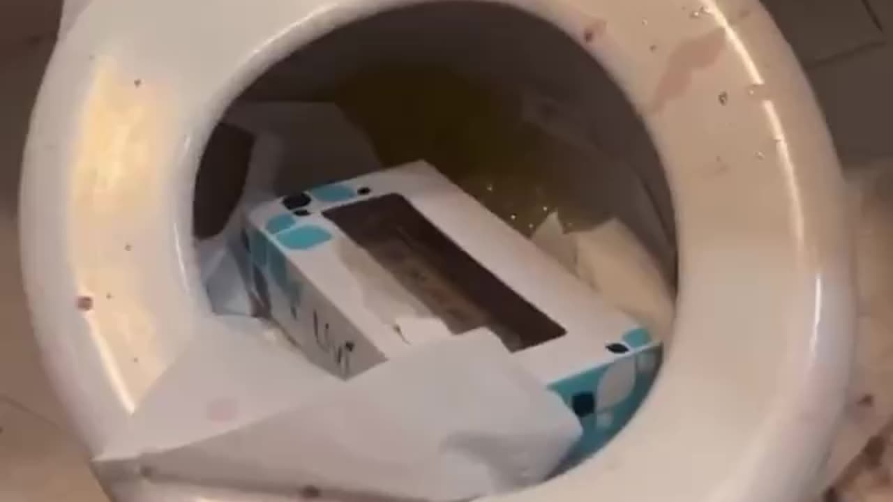 Tranny tried to fool a 'dumb ass n*gg*r' and it looks as though he didn’t fool anyone