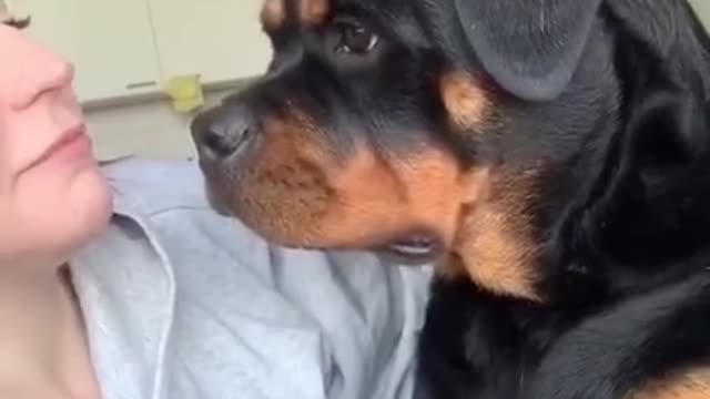 The dog is like: This is MY thing 😂