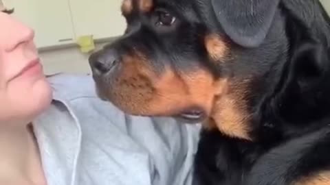 The dog is like: This is MY thing 😂