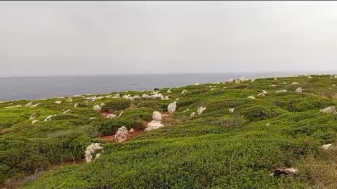 LEBANON -LAND OF BEAUTY