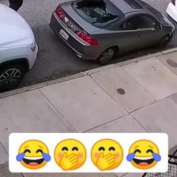 My friend is such a dumbo, look what he done