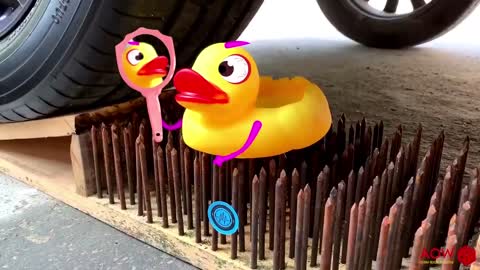 experimente car vs puppy dog