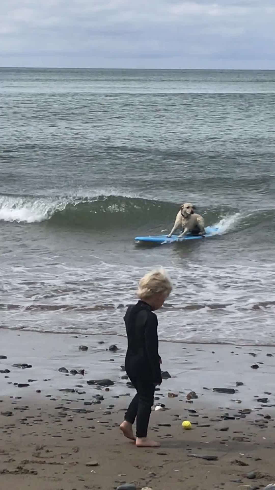 Prodigy Lab Rides Surfboard for the First Time