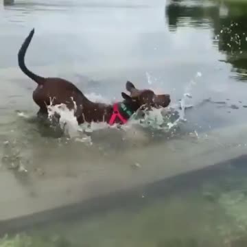 when you think the way you are going is right Don’t worry he’s absolutely ok