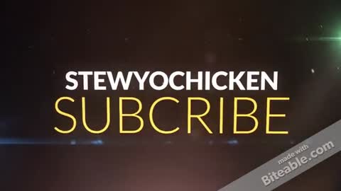 funny chicken videos