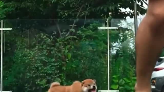 It looks delicious