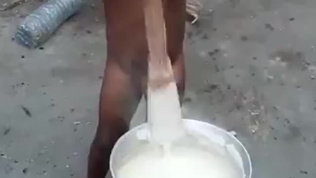 Ouch dance