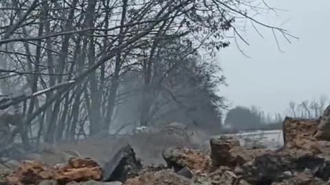 Fighting Hard