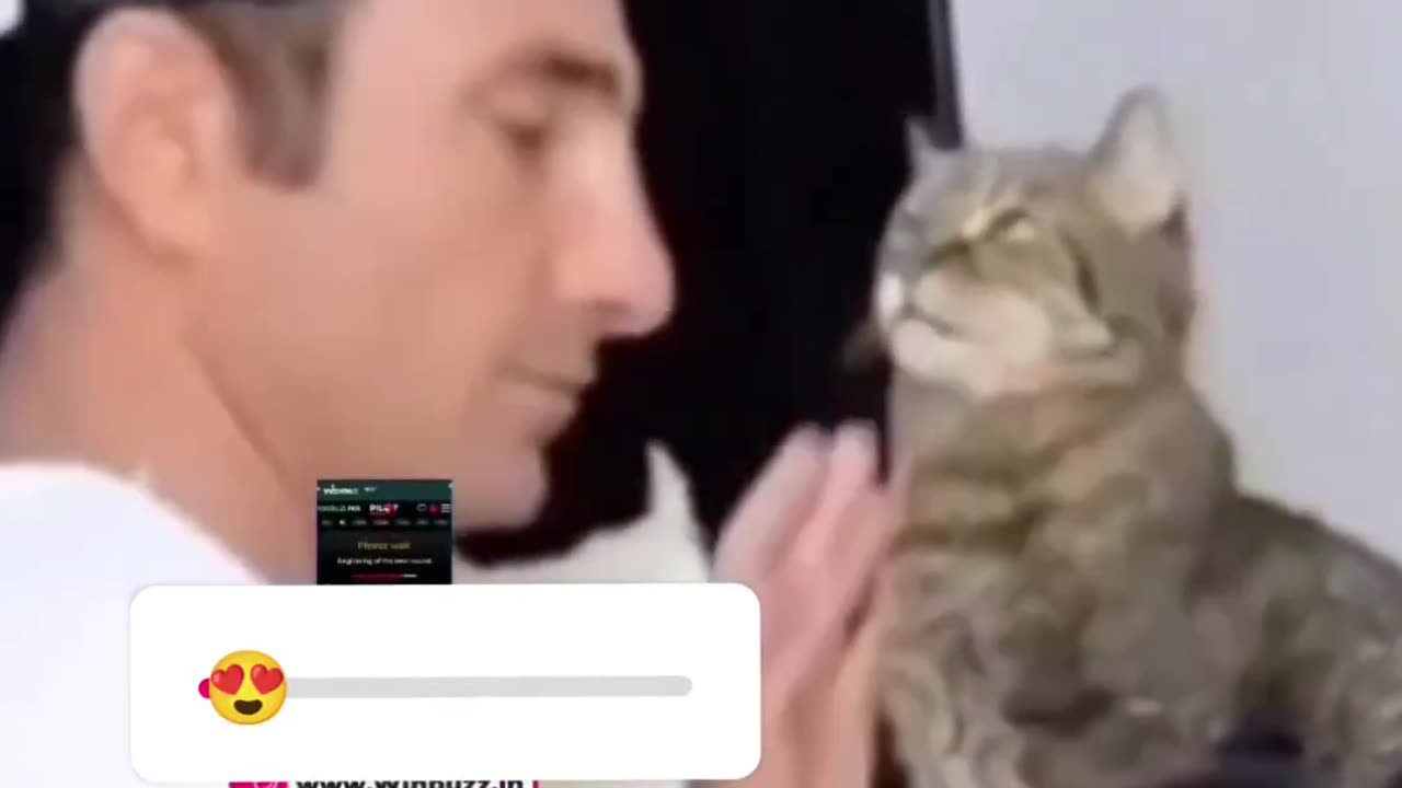 Funny videos 📷
