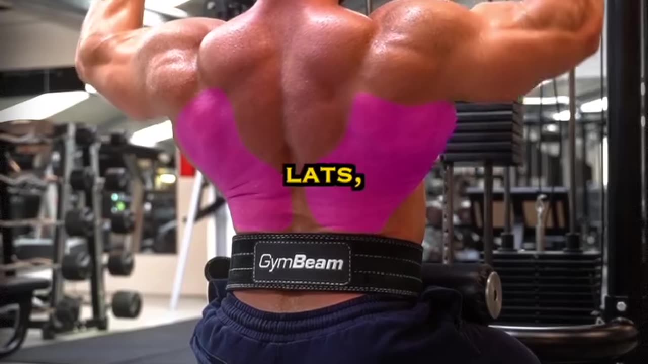 Wider Back exercises