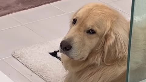 When dad starts to give commands when we both know mom is the boss