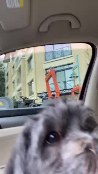 Repaving downtown Kirkland after 5G installs