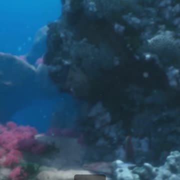 Top 5 Interesting Facts About Belize