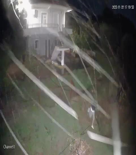 4 të mitur vodhën 1 biçikletë dhe 1 motor në 3 banesa, procedohen në gjendje të lirë