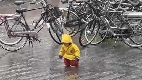 meanwhile in the Netherlands