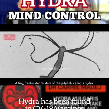 HYDRA: SCIENTISTS CAN CONTROL THE MINDS OF HYDRA.