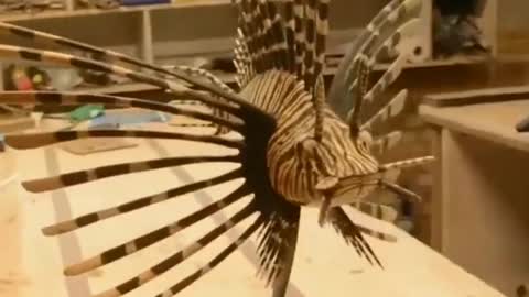 Amazing woodworking skill at another level