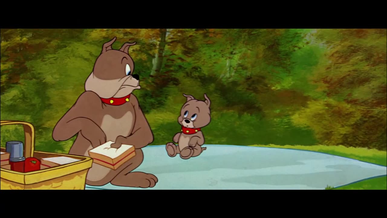 Tom & Jerry | Tom & Jerry in Full Screen | Classic Cartoon Compilation | WB Kids