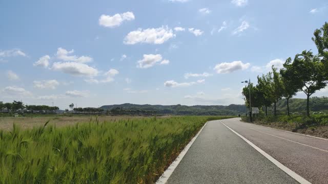 Bicycle road on grass with trees in sunny weather