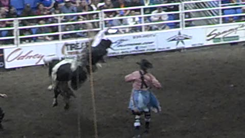 Rodeo Steer riding winner winner steak dinner