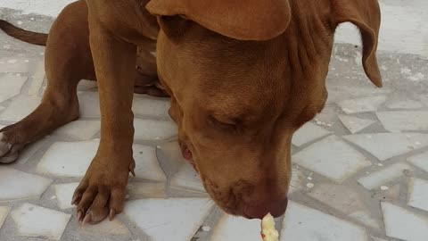 She loves Fruits