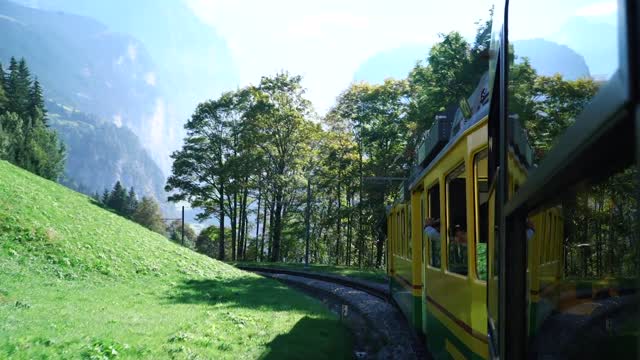 nature with train