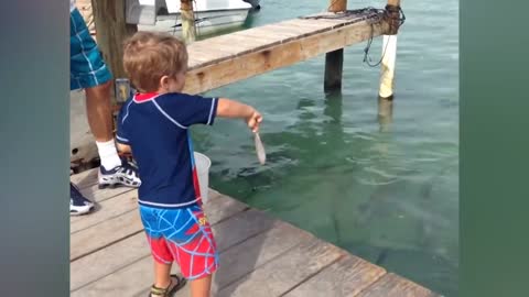 Babies meet fishes first time ! Funny videos! Baby clip