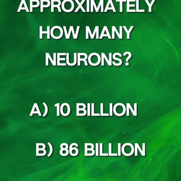 ❓Can You Answer The Question❓#17