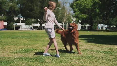 Dog says "hey, girl please tug it i will fetch it to you! please please"