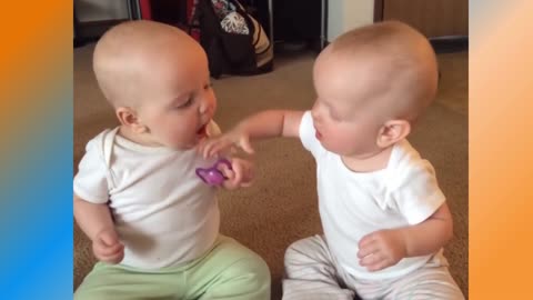 the babies fight for the pacifier