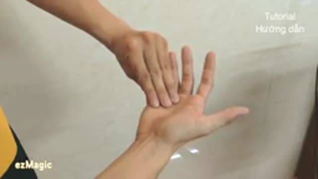 Top 5 most amazing hand magic tricks