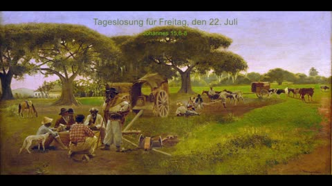 Tageslosung für Freitag, den 22. Juli