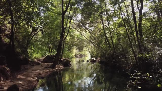 let's immerse in nature