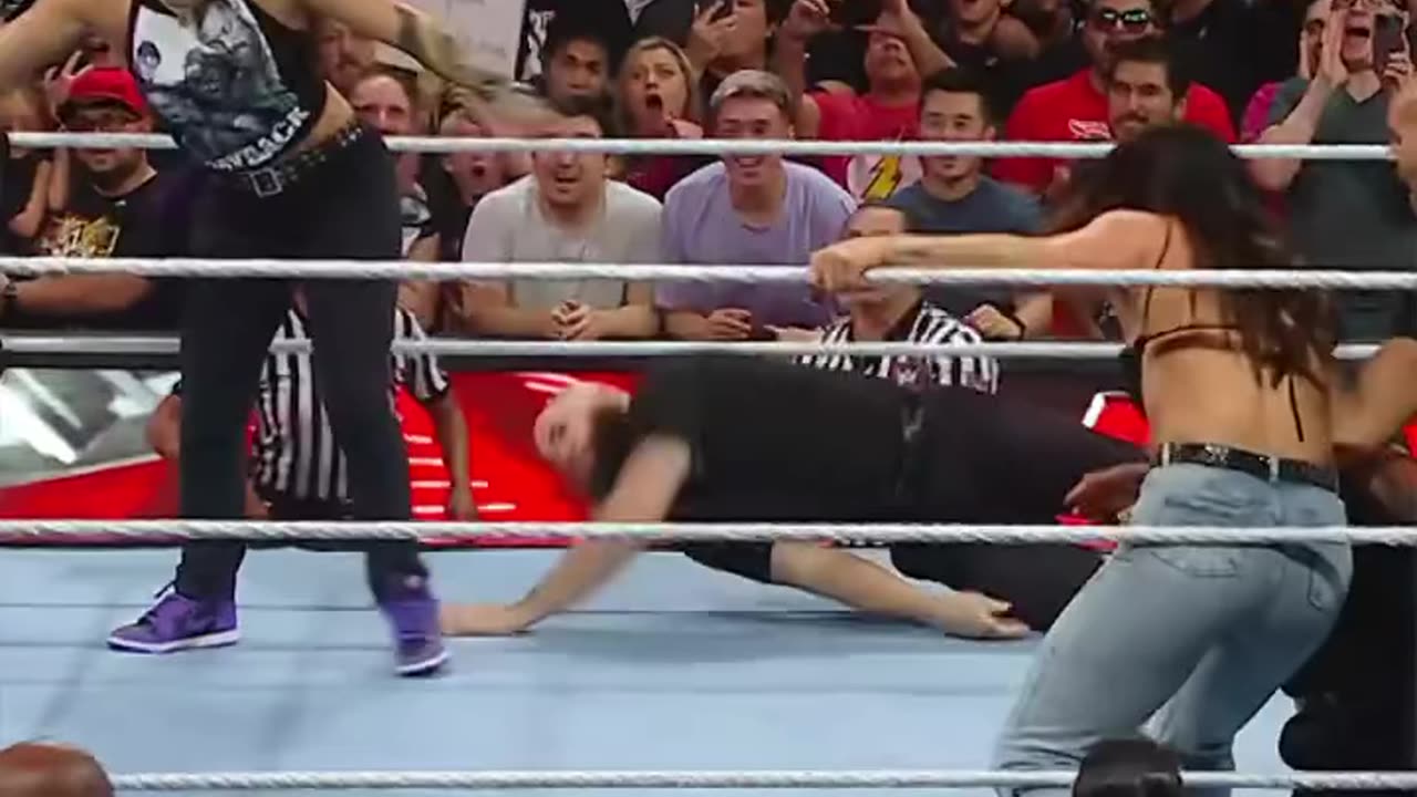 wwe Security is just trying to do their job