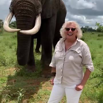 Adorable Elephant Pranks Human